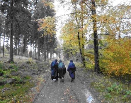 Natur in MV Rohde Schaeper